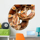 Corn Snake Wall Decal