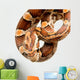 Corn Snake Wall Decal