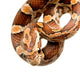 Corn Snake Wall Decal