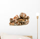 Corn Snake Wall Decal