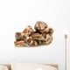 Corn Snake Wall Decal