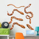 Collection of Six Corn Snake Wall Decal