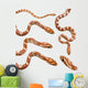 Collection of Six Corn Snake Wall Decal