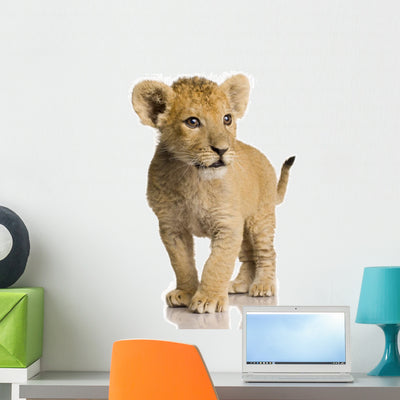 Lion Cub Wall Decal shown on a wall
