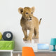 Lion Cub Wall Decal