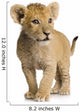 Lion Cub (3 months) Wall Decal