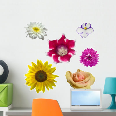 Different Flowers Collection Wall Mural shown on a wall