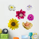 Different Flowers Collection Wall Mural