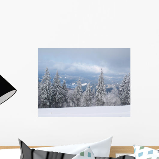 Winter Nature