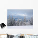 Winter Nature