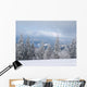 Winter Nature