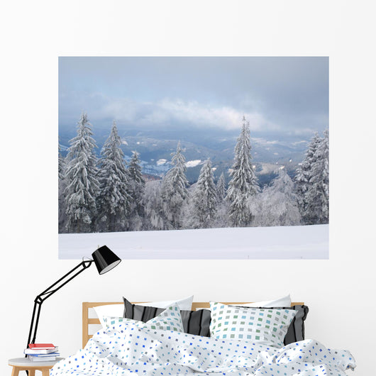 Winter Nature