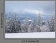 Winter Nature