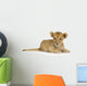 Lion Cub 3 Months Wall Decal