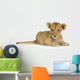 Lion Cub (3 months) Wall Decal