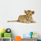 Lion Cub (3 months) Wall Decal