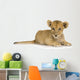 Lion Cub (3 months) Wall Decal