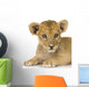 Lion Cub 3 Months Wall Decal