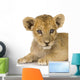 Lion Cub 3 Months Wall Decal