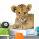 Lion Cub 3 Months Wall Decal