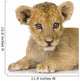 Lion Cub 3 Months Wall Decal