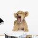 Lion Cub (3 months) Wall Decal