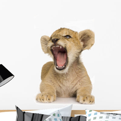 Lion Cub 3 Months Wall Decal shown on a wall