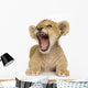 Lion Cub (3 months) Wall Decal