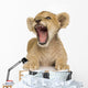 Lion Cub (3 months) Wall Decal