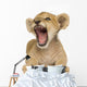 Lion Cub (3 months) Wall Decal