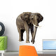 Elephant Wall Decal