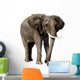 Elephant Wall Decal