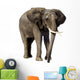 Elephant Wall Decal