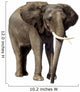Elephant Wall Decal