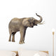 elephant Wall Decal
