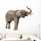elephant Wall Decal