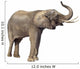 elephant Wall Decal