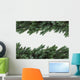 Birdsnest Spruce