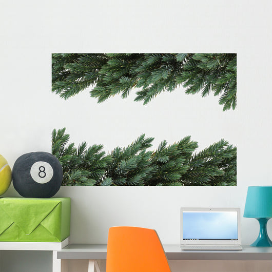 Birdsnest Spruce