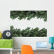 Birdsnest Spruce