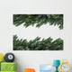 Birdsnest Spruce