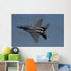 f15 Wall Mural