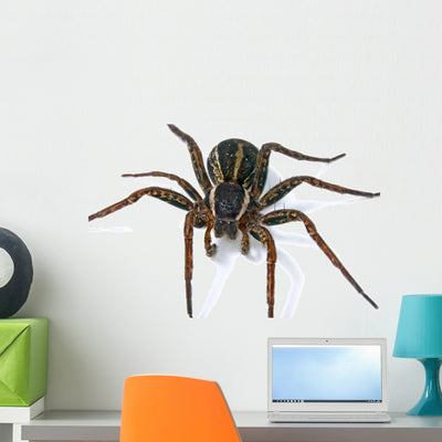 Spider Wall Decal shown on a wall