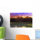 Small Mountain Lake With Submerged Logs Wall Mural