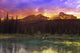 Small Mountain Lake With Submerged Logs Wall Mural