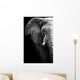 Elephant up Wall Mural