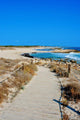 Llevant Beaches Formentera Balearic Wall Mural