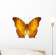 Butterfly Species Vindula Dejone