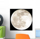 full moon Wall Mural