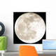 full moon Wall Mural